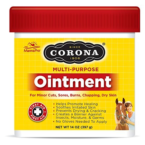 Corona Multi-Purpose Ointment