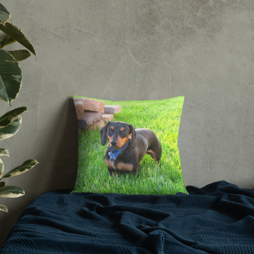 Photo Premium Pillow shown with a dachshund photo printed on it