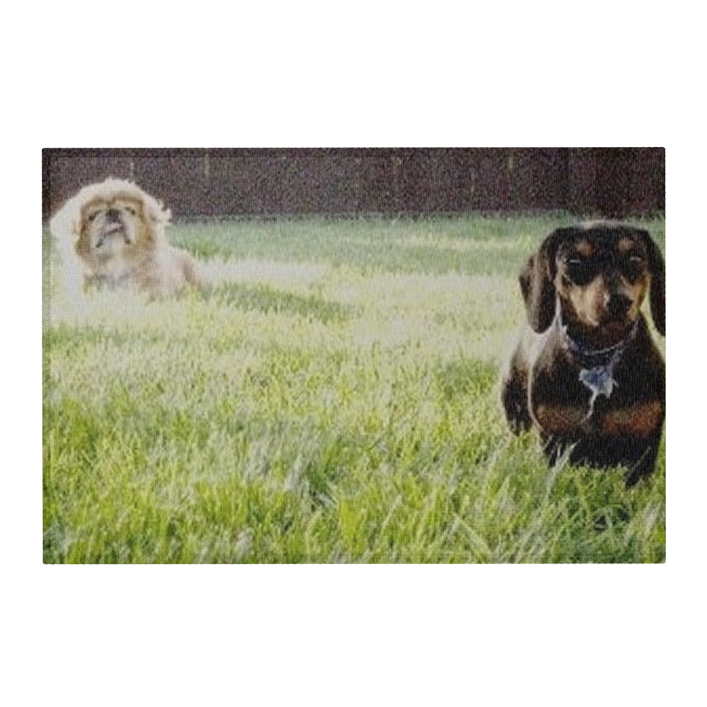 Area Rug shown with a photo of two dogs on a lawn printed on it