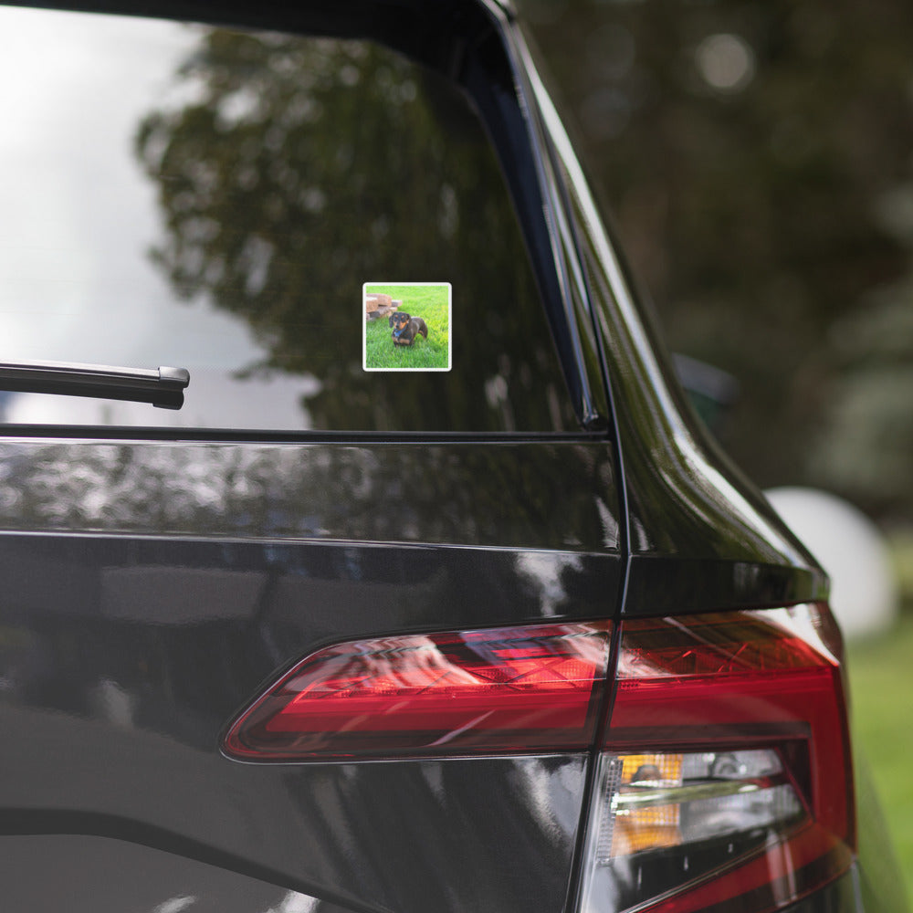 Photo Kiss-Cut Stickers shown with a dachshund photo printed on it