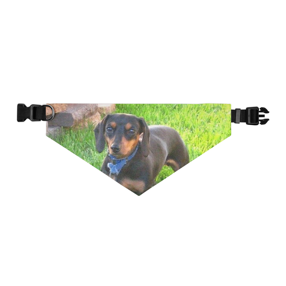 Photo Pet Bandana printed with a sample photo