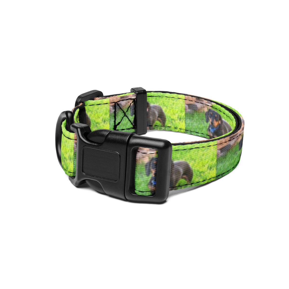 Photo Pet Collar printed with a sample photo
