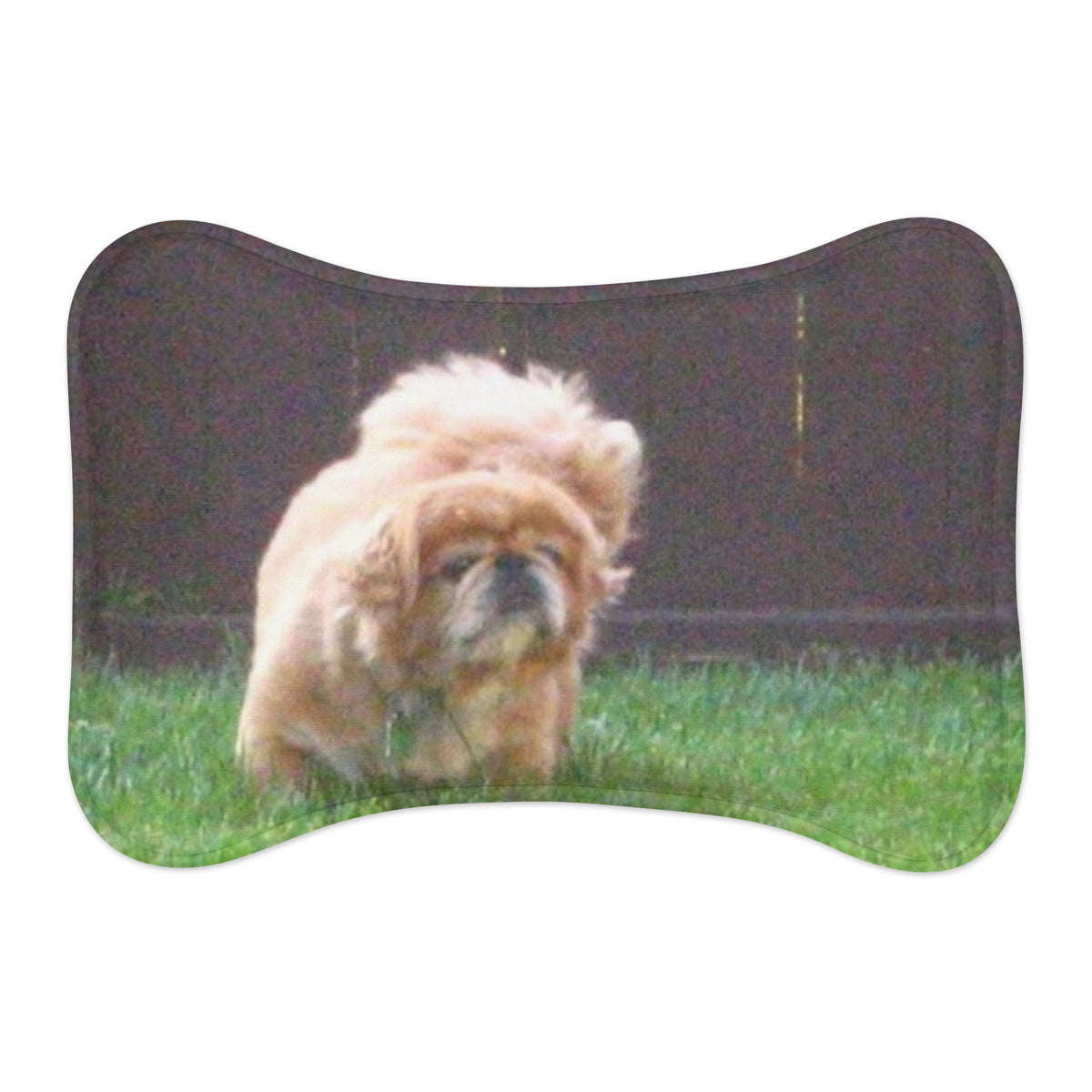 Photo Pet Feeding Mat printed with a sample photo