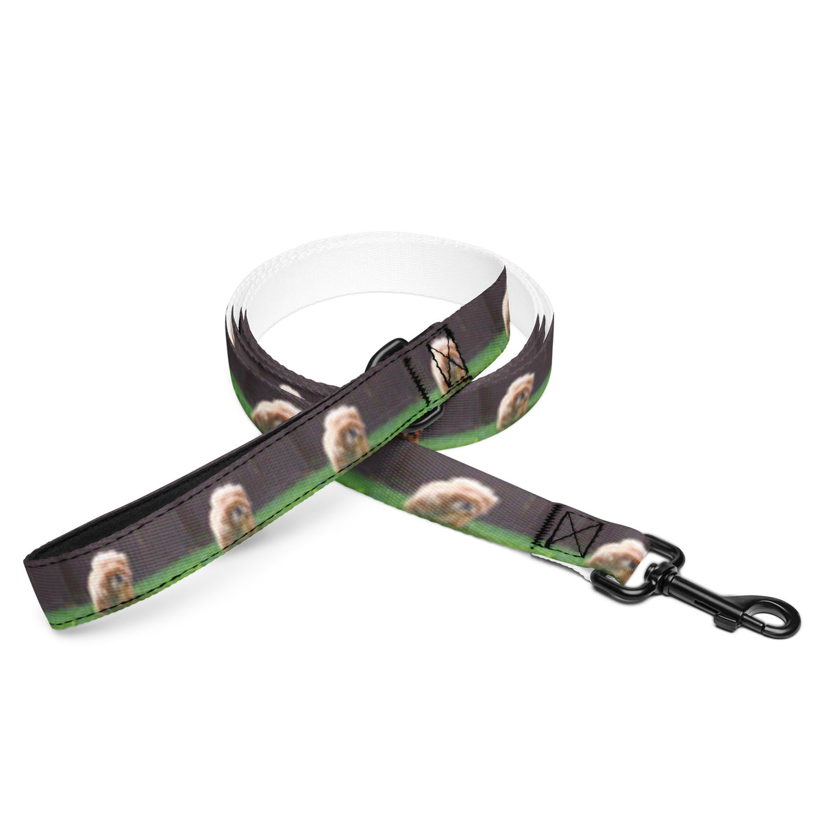 Photo Pet Leash printed with a sample photo