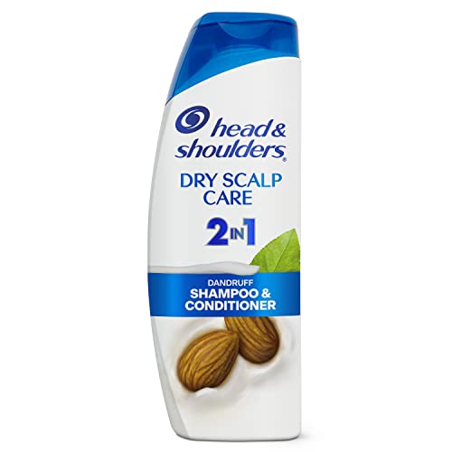 Head & Shoulders Dry Scalp Care 2in1 Shampoo + Conditioner