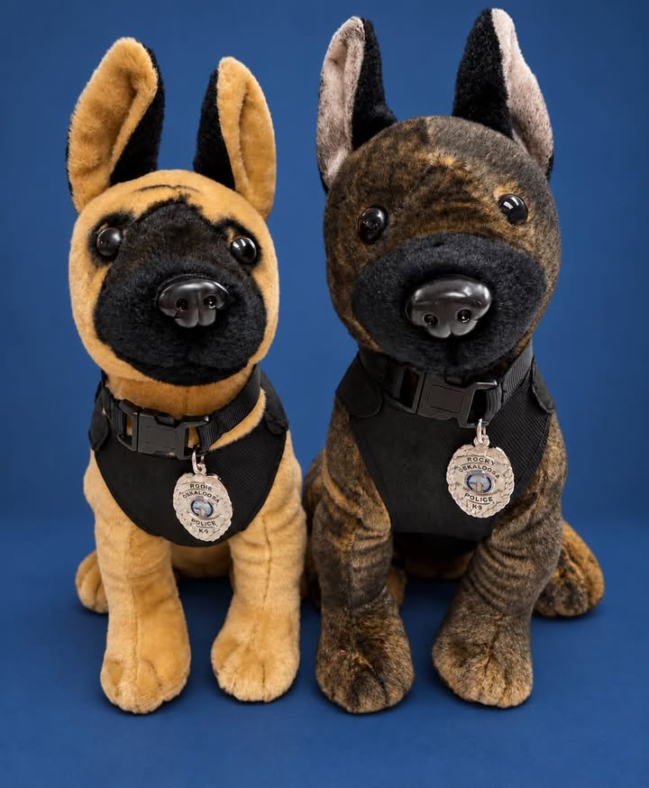 If you missed Rocky and Rodie at our tailgate, you can still take a little K-9 s