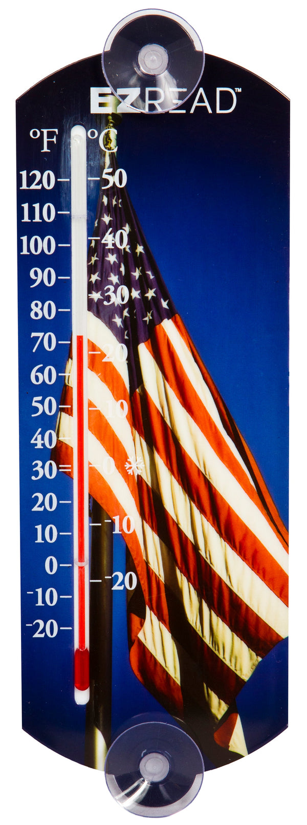 EZRead Indoor/Outdoor Thermometer