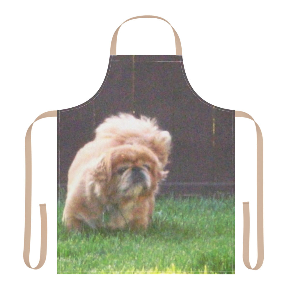 Apron with Colored Straps shown with a photo of a fluffy little dog printed on it
