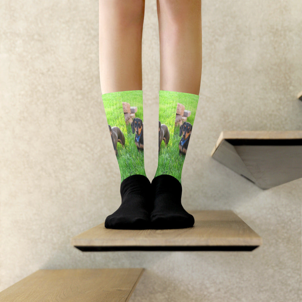 Crew Socks with Black Foot shown with a photo of a dachshund in the grass printed on it