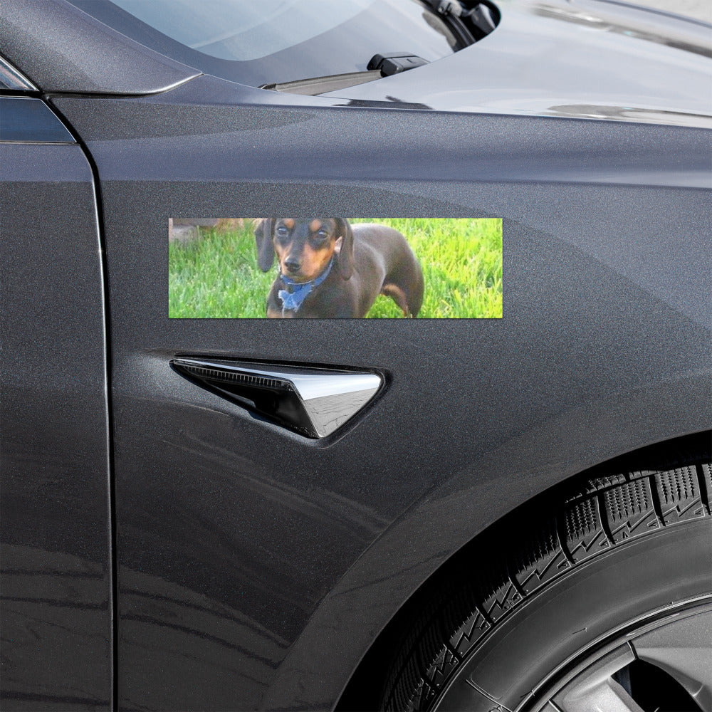 Car Magnet shown with a photo of a dachshund in the grass printed on it