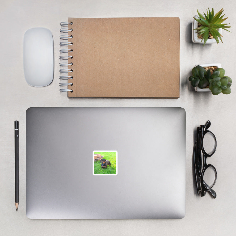 Photo Die-Cut Stickers shown with a dachshund photo printed on it