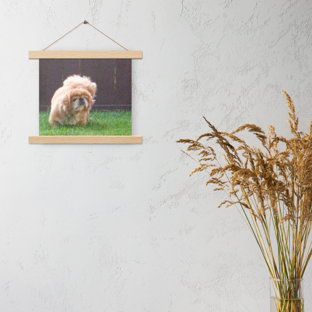 Matte Poster with Wooden Hanger shown with a photo of a fluffy little dog printed on it