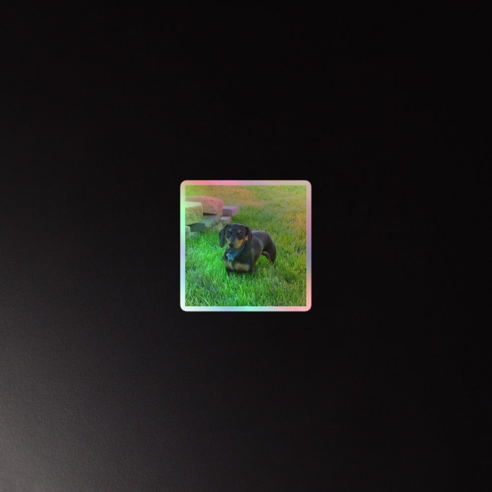 Photo Holographic Stickers shown with a dachshund photo printed on it