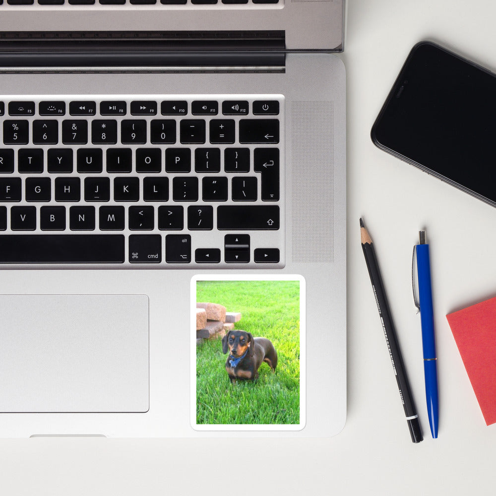 Photo Kiss-Cut Vinyl Decals shown with a dachshund photo printed on it
