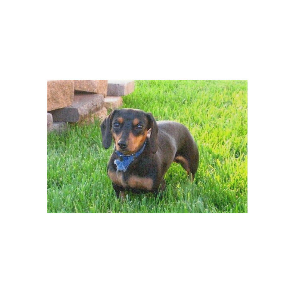 Outdoor Rug shown with a photo of a dachshund in the grass printed on it