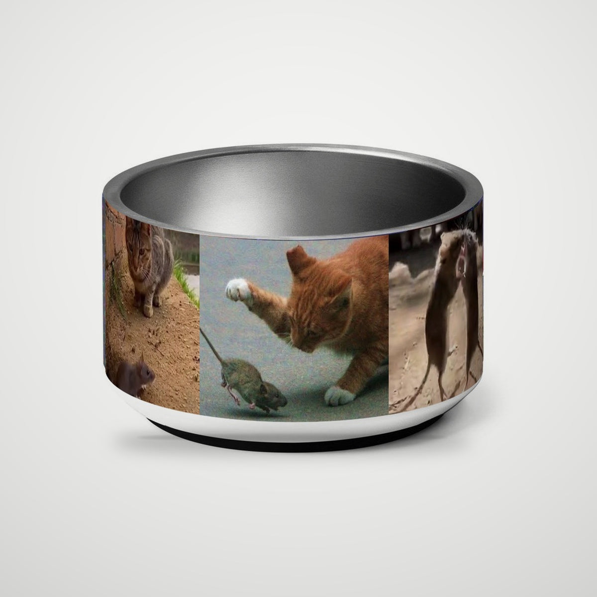 Photo Pet Bowl wrapped with photos of cats and mice