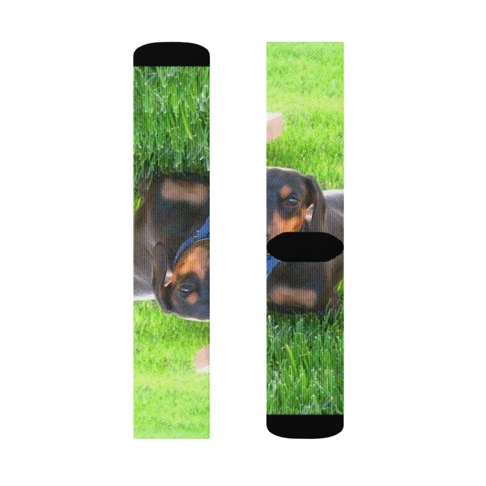 Crew Socks shown with a photo of a dachshund in the grass printed on it
