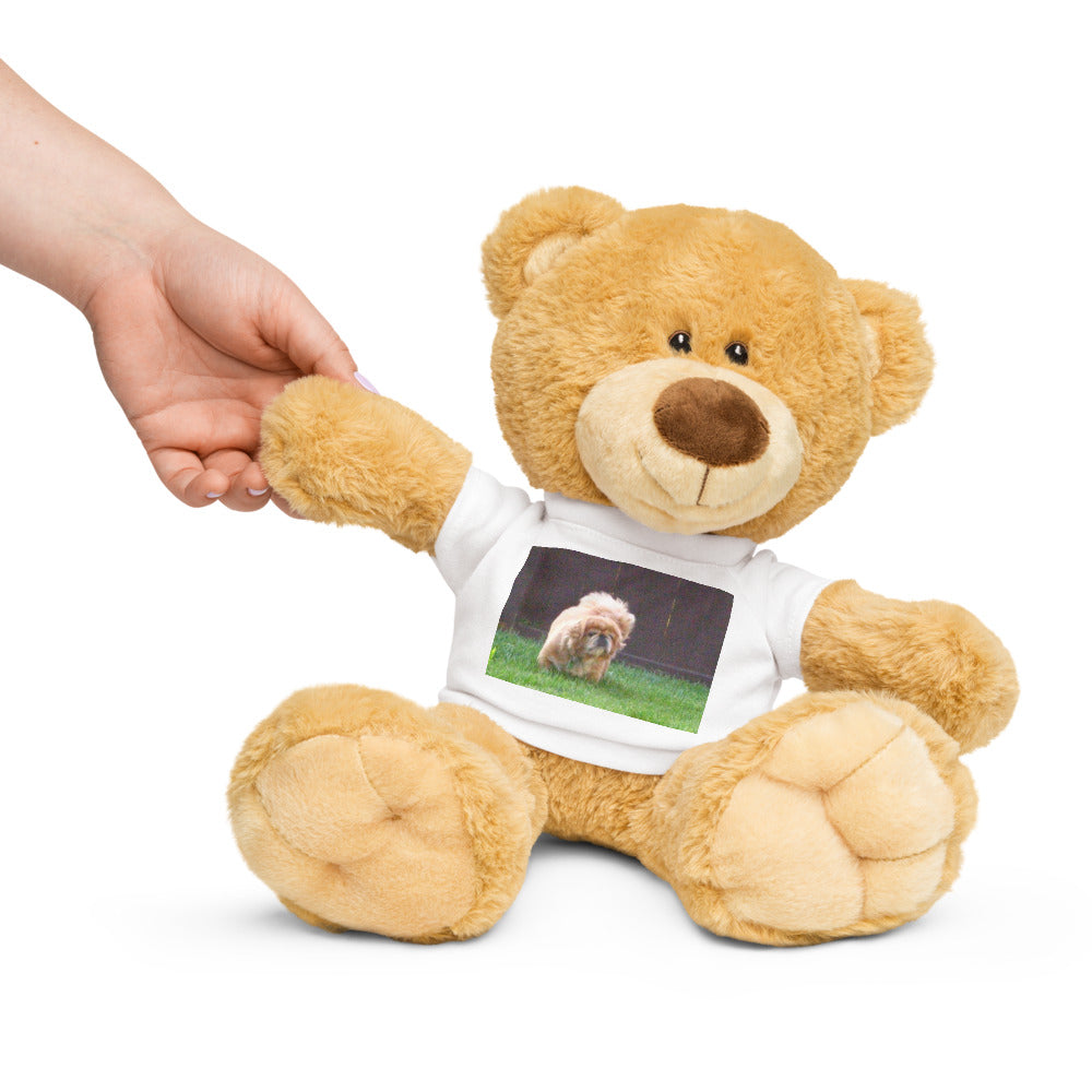 Photo Teddy Bear with a T-Shirt shown with a dog photo printed on it