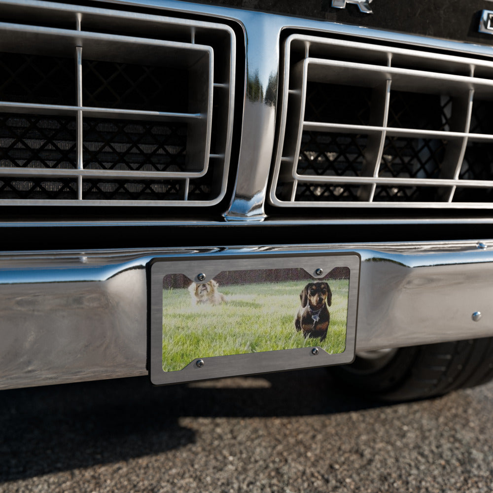 Vanity Plate shown with a photo of two dogs on a lawn printed on it