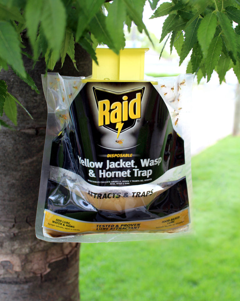 Raid Disposable Yellow Jacket, Wasp & Hornet Trap